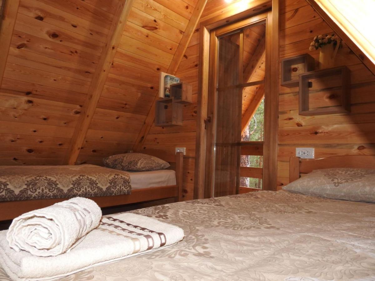 The Pine Forest Cottage Žabljak 外观 照片