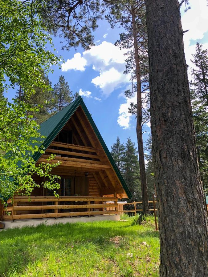 The Pine Forest Cottage Žabljak 外观 照片